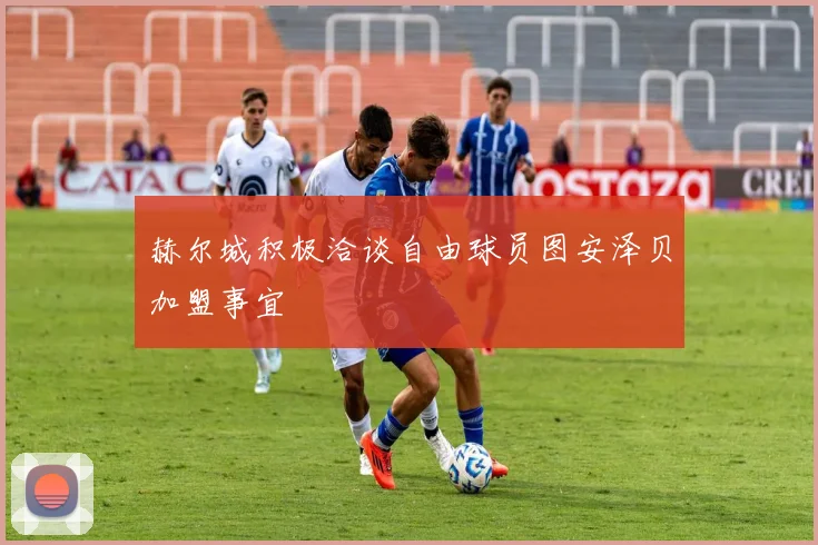 赫尔城积极洽谈自由球员图安泽贝加盟事宜