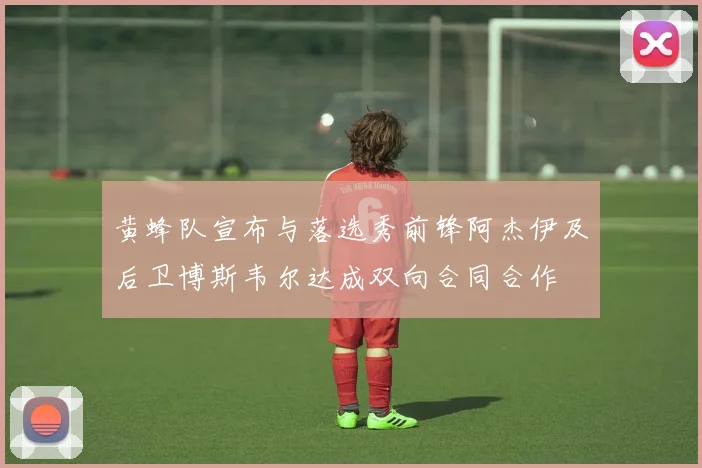 黄蜂队宣布与落选秀前锋阿杰伊及后卫博斯韦尔达成双向合同合作