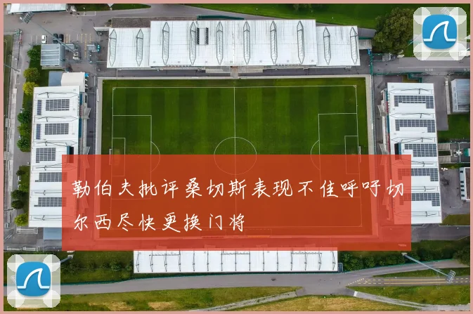 勒伯夫批评桑切斯表现不佳呼吁切尔西尽快更换门将